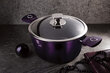 Berlinger Haus titāna katls, 24cm, BH-6629 purple цена и информация | Katli, tvaika katli | 220.lv