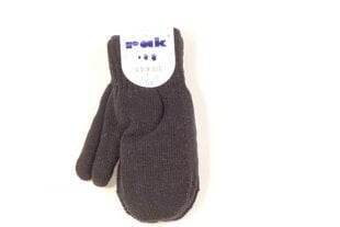 Теплые перчатки с аппликацией для мальчиков, Синий цена и информация | Шапки, перчатки, шарфы для мальчиков | 220.lv