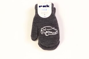 Теплые перчатки с аппликацией для мальчиков, Черный цена и информация | Шапки, перчатки, шарфы для мальчиков | 220.lv