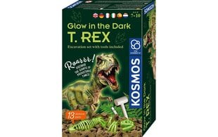 Radošais komplekts Glow in the dark T.Rex, 7 g.+ cena un informācija | Attīstošās rotaļlietas | 220.lv