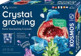 Radošais komplekts Crystal Growing, 10 gadi + cena un informācija | Attīstošās rotaļlietas | 220.lv