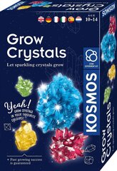 Креативный набор Grow Crystal, 10 лет+ цена и информация | Развивающие игрушки | 220.lv