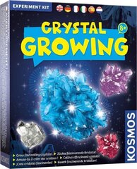 Attīstošs komplekts Crystal Growing, 8+ cena un informācija | Attīstošās rotaļlietas | 220.lv