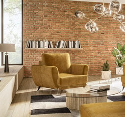 Кресло NORE Megis, коричневое цена и информация | Кресла в гостиную | 220.lv