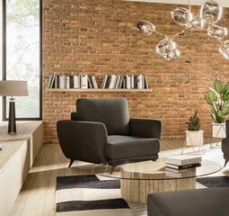 Кресло NORE Megis, темно-коричневое цена и информация | Кресла в гостиную | 220.lv