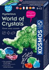 Веселая наука World Of Crystals цена и информация | Развивающие игрушки | 220.lv