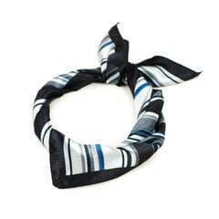 Art of Polo Шарф | черный, серый sz20338-7 цена и информация | Женские шарфы, платки | 220.lv