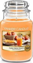 Ароматная свеча Yankee Candle Farm Fresh Peach 623 г цена и информация | Подсвечники, свечи | 220.lv