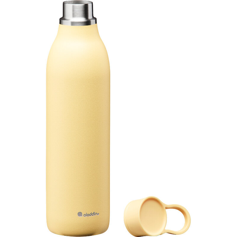Termopudele CityLoop Thermavac eCycle Water Bottle 0.6L pārstrādāta nerūs. tērauda dzeltena цена и информация | Virtuves piederumi | 220.lv