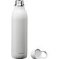 Termopudele CityLoop Thermavac eCycle Water Bottle 0.6L pārstrādāta nerūs. tērauda pelēka цена и информация | Termosi, termokrūzes | 220.lv