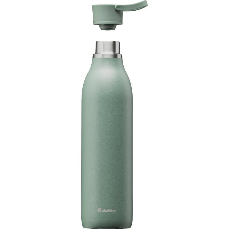 Termopudele CityLoop Thermavac eCycle Water Bottle 0.6L pārstrādāta nerūs. tērauda pelēcīgi zaļa cena un informācija | Termosi, termokrūzes | 220.lv