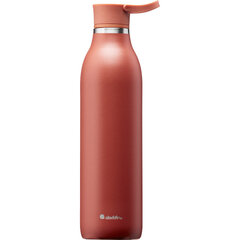 Termopudele CityLoop Thermavac eCycle Water Bottle 0.6L pārstrādāta nerūs. tērauda terakotas krāsā cena un informācija | Virtuves piederumi | 220.lv