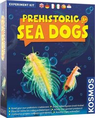 Izglītojošs komplekts Sea Dogs 8+ cena un informācija | Attīstošās rotaļlietas | 220.lv