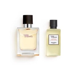 Komplekts Hermes Terre D'Hermes vīriešiem: tualetes ūdens EDT 50 ml + dušo želė 40 ml cena un informācija | Hermès Smaržas | 220.lv