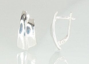 Sudraba auskari 2.4 gr. цена и информация | Серьги | 220.lv