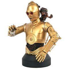 Diamond Select Star Wars IX C-3PO And Babu Frik cena un informācija | Datorspēļu suvenīri | 220.lv