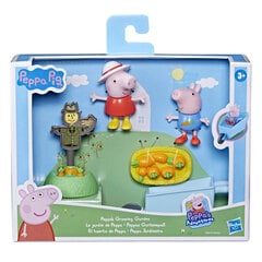 Komplekts Cūciņas Peppas diena Hasbro Peppa Pig cena un informācija | Rotaļlietas meitenēm | 220.lv