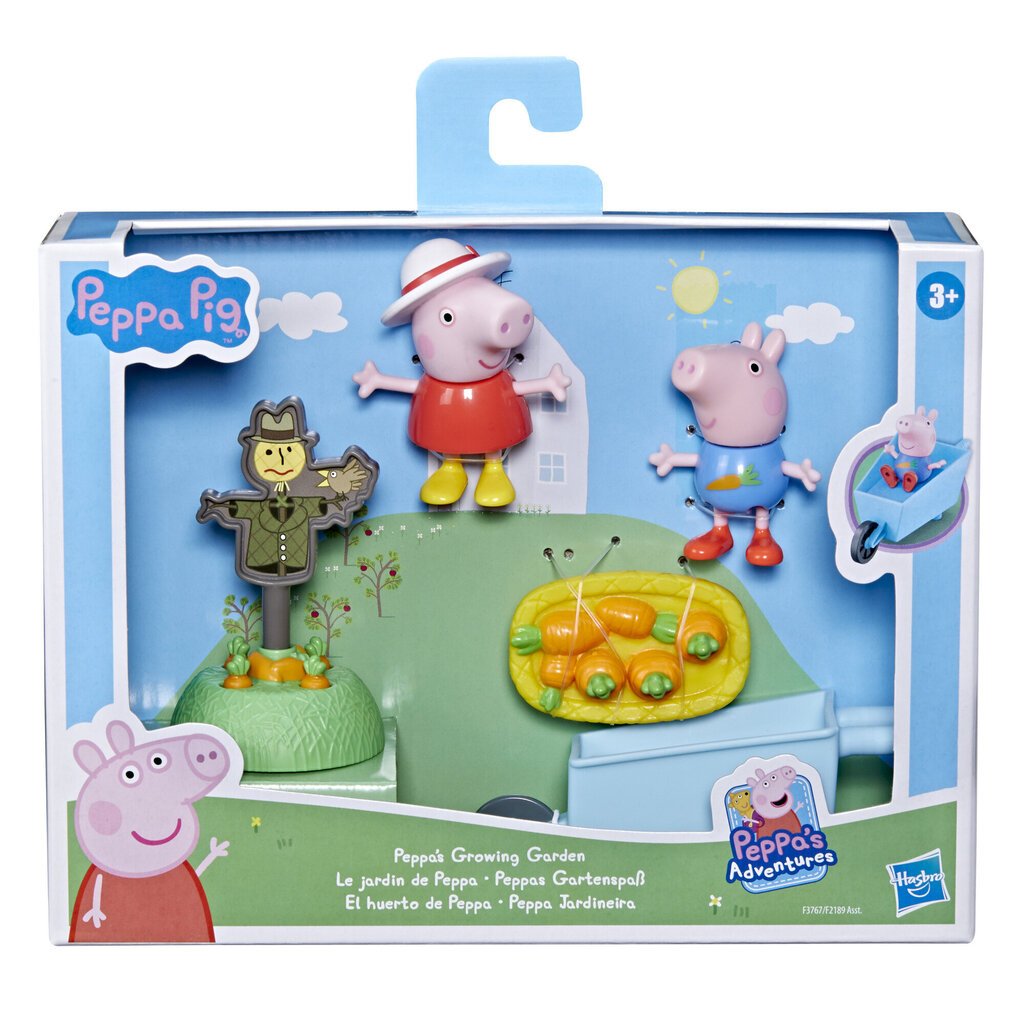 Набор День Свинки Пеппы Hasbro Peppa Pig цена | 220.lv