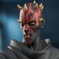 Diamond Select Star Wars Rebels Darth Maul цена и информация | Datorspēļu suvenīri | 220.lv