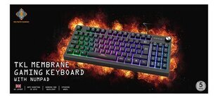 Delcato Gaming DK230 TKL cena un informācija | Klaviatūras | 220.lv