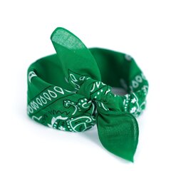 Art of Polo Бандана | зеленый sz13014-6 цена и информация | Женские шарфы, платки | 220.lv