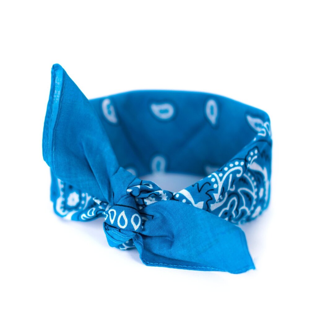 Art of Polo Bandana | zils sz13014-10 цена и информация | Sieviešu šalles, lakati | 220.lv