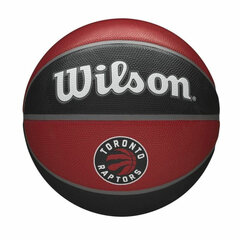 Баскетбольный мяч Jim Sports Raptors цена и информация | Баскетбольные мячи | 220.lv