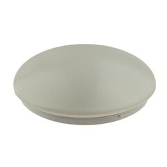 Потолочный светильник с датчиком LED Lake Ceiling Light 18W 4000-4500K цена и информация | Монтируемые светильники, светодиодные панели | 220.lv