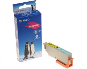 G & G Ink Cartridge Epson 2435xllc - цена и информация | Картриджи для струйных принтеров | 220.lv