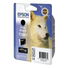 Epson оригинал чернила C13T09614010 T0961 - цена и информация | Картриджи для струйных принтеров | 220.lv