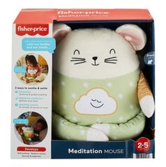 Fisher-Price meditācijas pele cena un informācija | Rotaļlietas zīdaiņiem | 220.lv