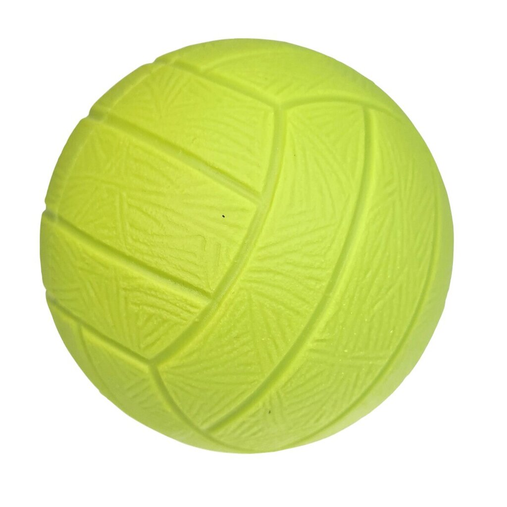Gerardo's Toys volejbola bumba 9 cm, dažādās krāsās cena un informācija | Spēles brīvā dabā | 220.lv