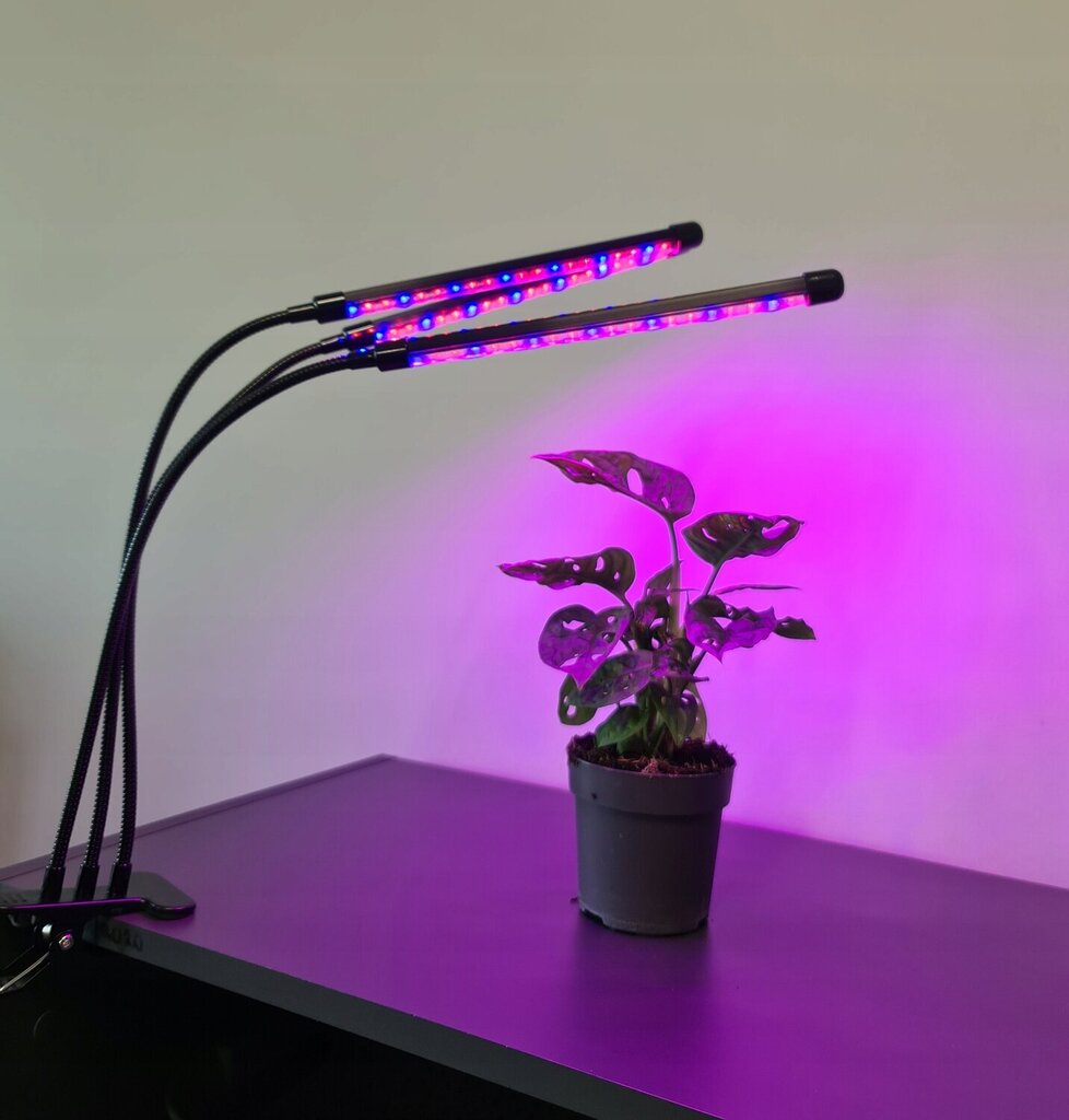 3 x lampa augu augšanai 60 LED 30w taimeris + tālvadības pults cena un informācija | Diedzēšanas trauki, augu lampas | 220.lv