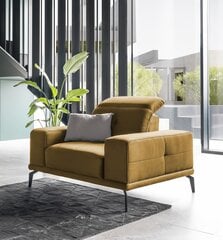 Кресло NORE Torrense, коричневое цена и информация | Кресла в гостиную | 220.lv