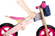 Balansa velosipēds, Pink Hummingbird rozā - SF цена и информация | Balansa velosipēdi | 220.lv