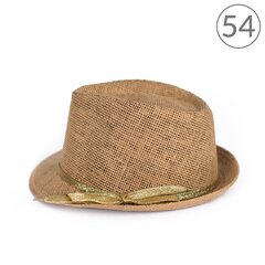 Шляпа Art of Polo cz17129-5, коричневая цена и информация | Женские шапки | 220.lv