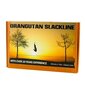 Orangutan Slackline komplekts - 15M - 50MM cena un informācija | Alpīnisma inventārs | 220.lv