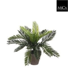 Декоративное растение Mica Decorations, 11.5 x 33 см цена и информация | Искусственный букет DKD Home Decor, 2 шт | 220.lv