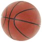 vidaXL basketbola komplekts, regulējams 180-230 cm, pārvietojams цена и информация | Basketbola statīvi | 220.lv