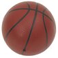 vidaXL basketbola komplekts, regulējams 138,5-166 cm, pārvietojams цена и информация | Basketbola statīvi | 220.lv