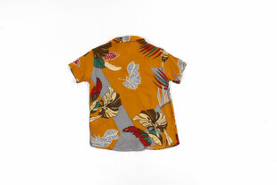 Рубашка для мальчиков цена и информация | Рубашки для мальчиков | 220.lv