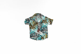 Zēnu krekls цена и информация | Рубашки для мальчиков | 220.lv