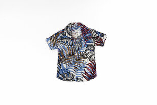 Рубашка для мальчиков цена и информация | Рубашки для мальчиков | 220.lv
