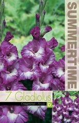 Гладиолусы Anouk, 7 шт. цена и информация | Луковичные цветы | 220.lv