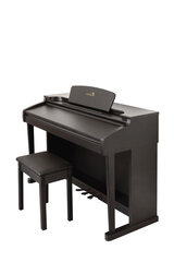 88-клавишное цифровое пианино LiveStar LP-30 цена и информация | Клавишные музыкальные инструменты | 220.lv