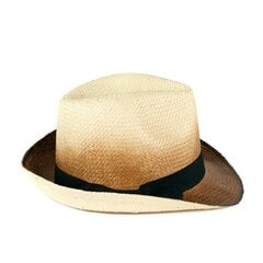 Art of Polo Cepure | gaiši brūns, tumši brūns cz14116-5 cena un informācija | Sieviešu cepures | 220.lv
