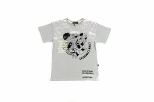 T-krekls zēniem cena un informācija | Zēnu krekli | 220.lv