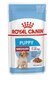 Royal Canin Karma SHN Medium Puppy mitrā suņu barība, 10x140 g cena un informācija | Konservi suņiem | 220.lv