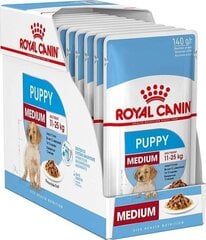 Влажный корм для собак Royal Canin Karma SHN Medium Puppy, 10x140 г цена и информация | Консервы для собак | 220.lv