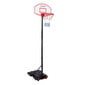 Basketbola statīvs 165-205 cm cena un informācija | Basketbola statīvi | 220.lv